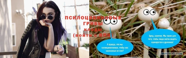 дмт Алексин