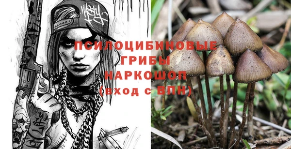 метамфетамин Алексеевка