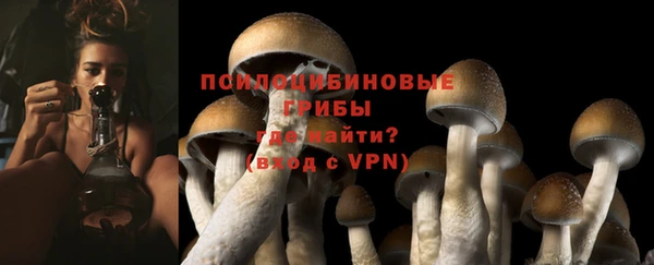 СК Абдулино