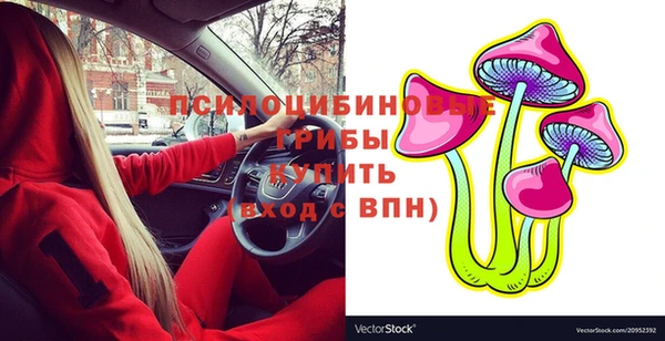 бошки Карпинск