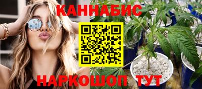 крисы Тверь