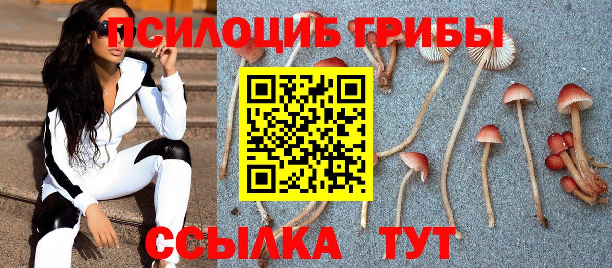 Копейск  цена наркотик  Псилоцибиновые грибы MAGIC MUSHROOMS  Вход с VPN  Псилоцибиновые грибы мухоморы 